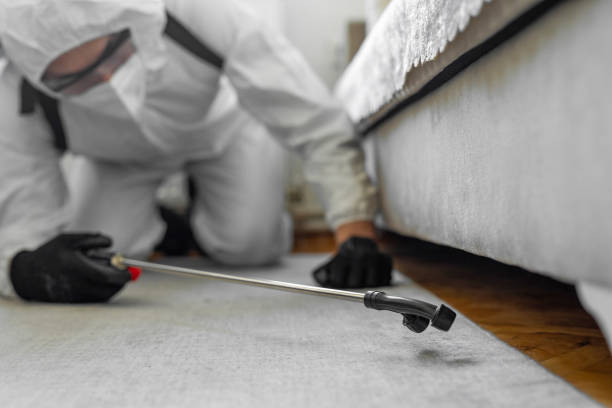 Professional Bed Bug Control technician working in Rosamond, CA