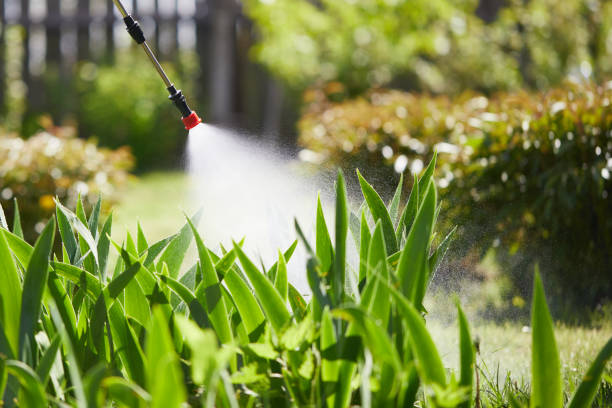 24/7 Emergency Bed Bug Control experts in Rosamond, CA