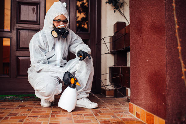 Reliable Bed Bug Control contractor in Rosamond, CA by Nex Pest Control